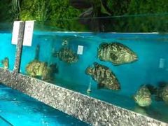 -宝燕海鲜(好爱店)