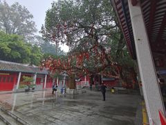 -国恩寺
