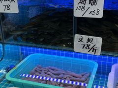 -小海丁