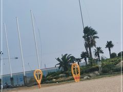-碧海金沙