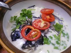 -全乐鱼馆·淳牌有机鱼直营店