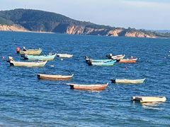 -海源公园