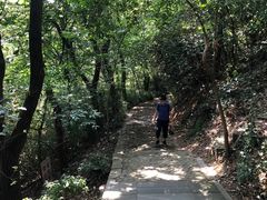 -上海佘山国家森林公园西佘山园