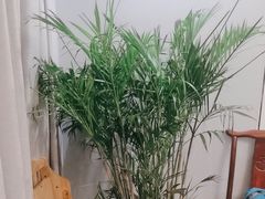 -雨后行菜(报慈北路店)