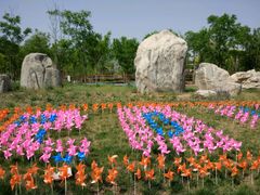 -武清南湖绿博园