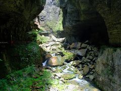 -鹿院坪生态旅游景区