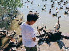 -上海长兴岛郊野公园