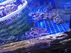 -渔民船说·北塘海鲜·天津菜·海肠捞饭(北塘古镇店)