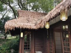 -中国茶叶博物馆(双峰馆区)