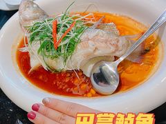 清蒸鲈鱼-北国饭店(阳光店)