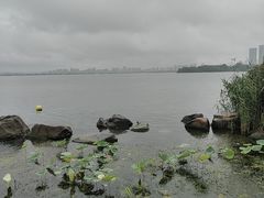 -金鸡湖景区