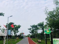 -上海长兴岛郊野公园