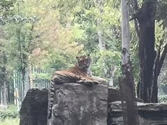 -秦皇岛野生动物园