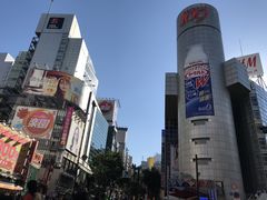 -涩谷区