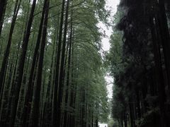 -山王坪喀斯特国家生态公园
