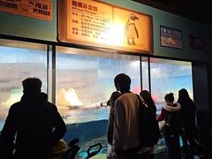 -海合安武汉极地海洋公园