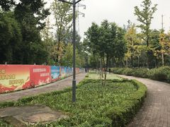 -重庆彩云湖湿地公园