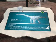 -安徽省地质博物馆