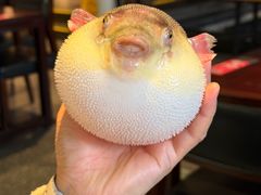 -永安鱼庄·镇江菜(东吴路店)