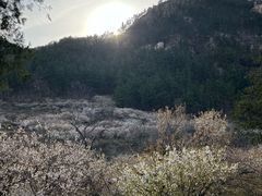-崂山九水游览区
