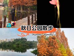 -重庆彩云湖湿地公园