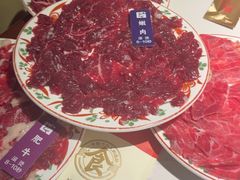 -汕头八合里海记牛肉店(清河店)
