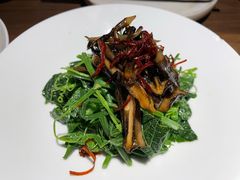 山茶油丝瓜尖-清水亭湖北菜(大屯DT51店)