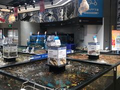 水产区-盒马鲜生(皇庭广场店)