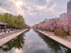 -元大都城垣遗址公园