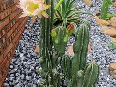 -龙潭生态旅游度假区