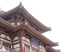 -西安青龙寺遗址景区