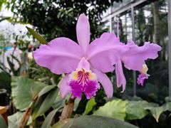 -国家植物园南园