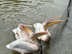 -宁波杭州湾国家湿地公园