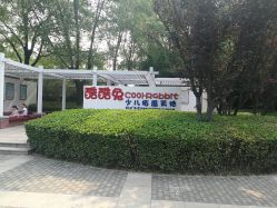 -酷酷兔少儿拓展天地