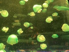 -杭州野生动物世界