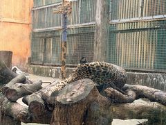 -柳州市动物园