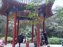 -青城公园