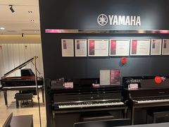 -雅歌音乐培训中心·钢琴培训·乐器培训(交道口店)