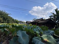 -莫催咖啡