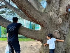 -国家植物园南园