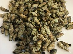 -瑞杰烧烤店·24小时营业(山东路店)