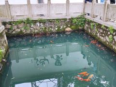 -墨池公园