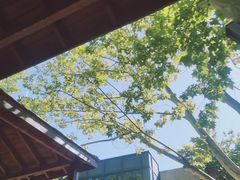 -春晖园度假酒店温泉