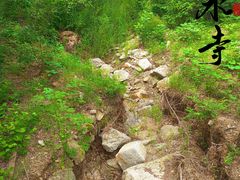 -白水寺森林公园