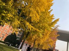 -四川大学(望江校区)