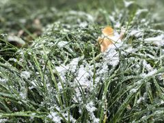 -湘约爨厨(太白立交店)