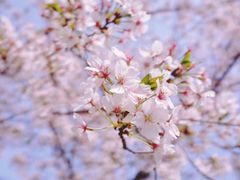-龙美术馆(西岸馆)