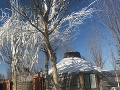 -九十九顶毡房(阜石路店)