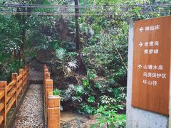 -滴水岩森林公园