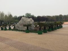 -太阳宫公园